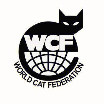 wcf客户端cfa官网登录入口