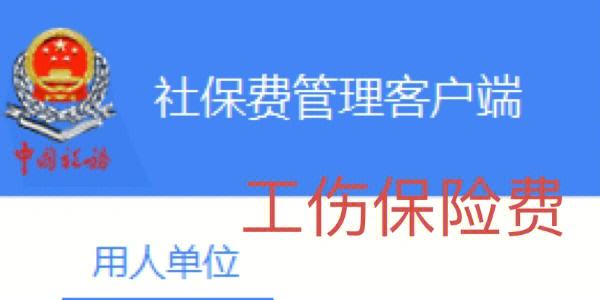 社保缴费客户端10042湖南省社保缴费客户端官网下载安装