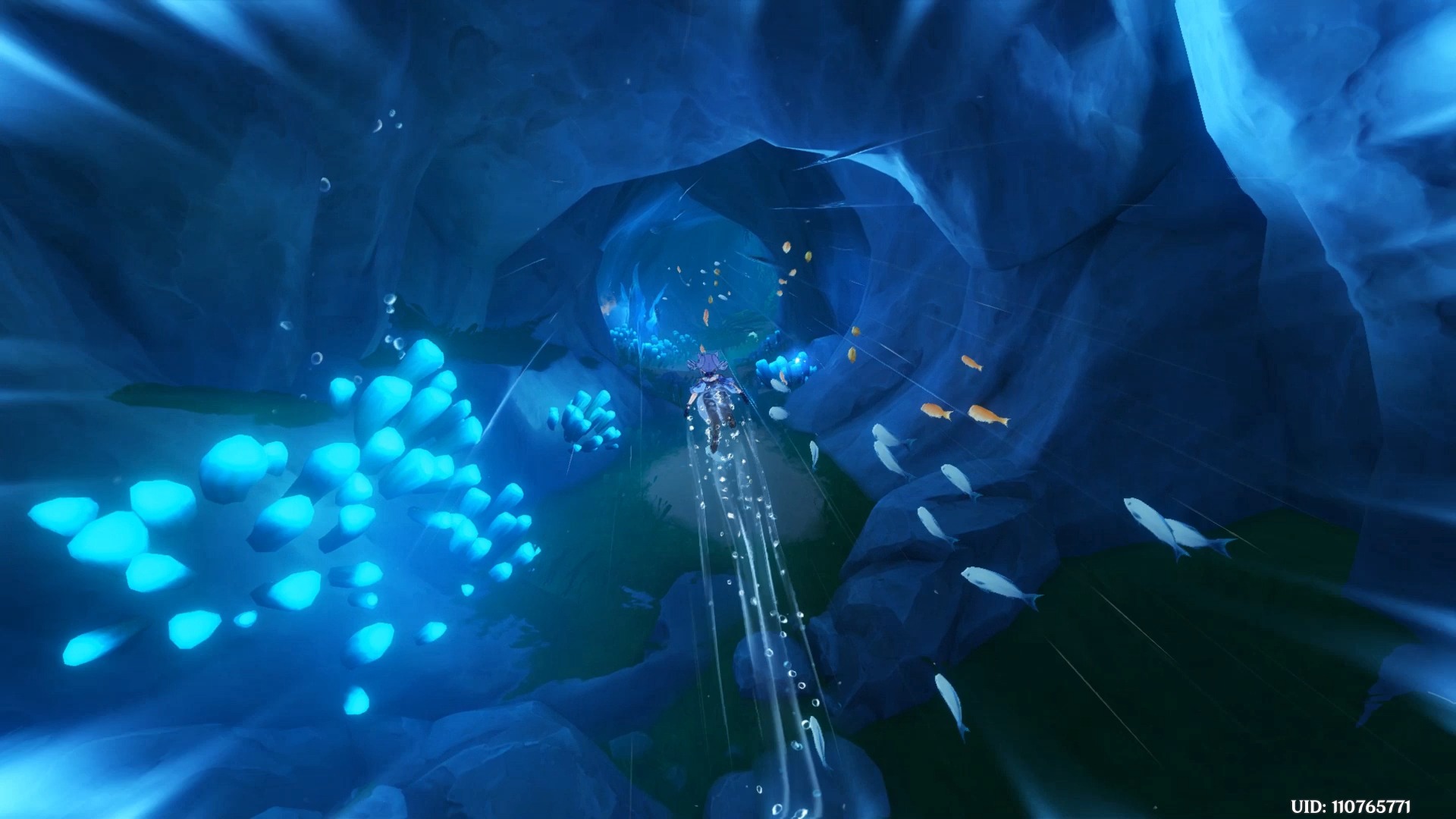 手机版下载美丽水世界的简单介绍-第2张图片-QuickQ官网