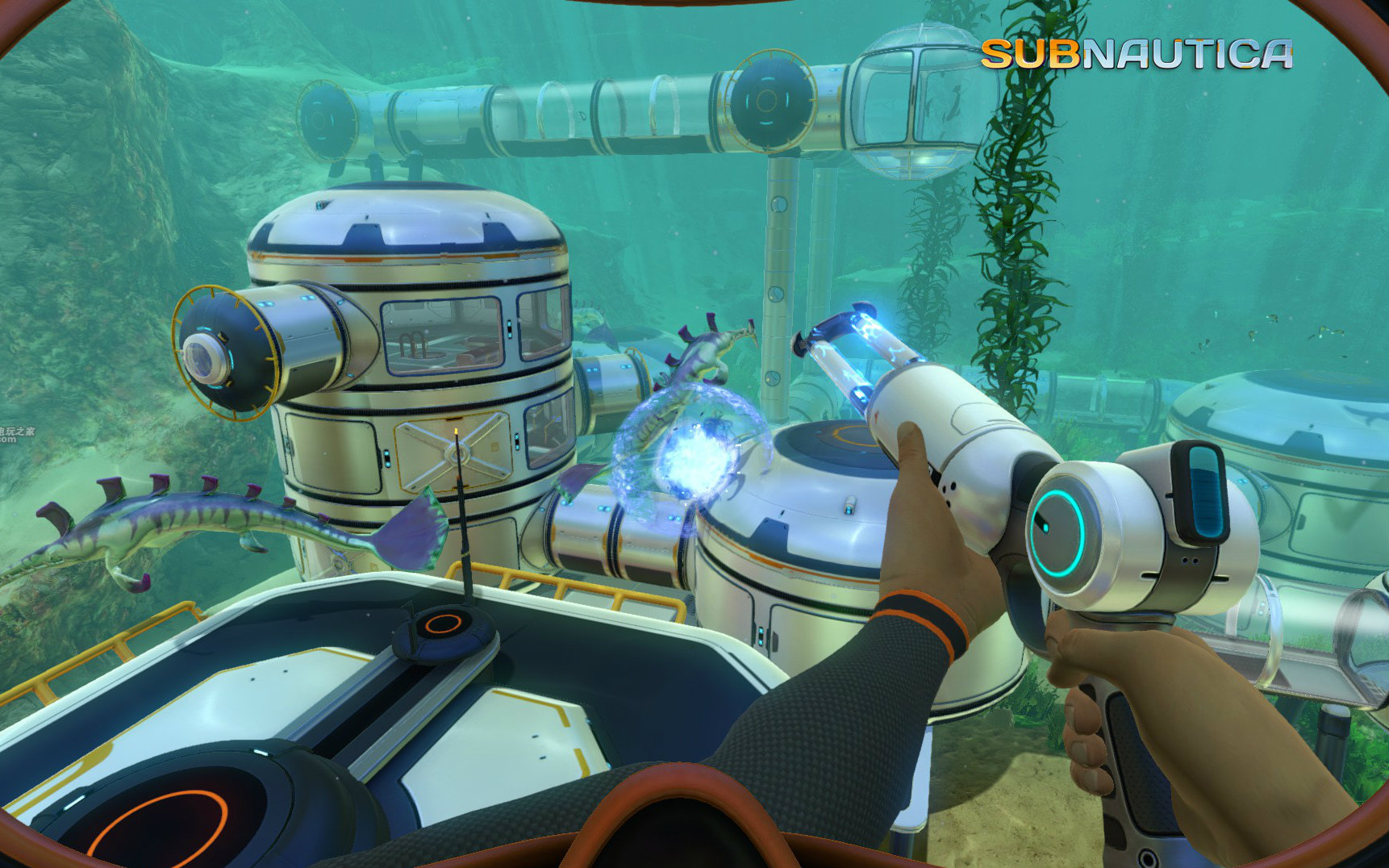 手机版下载美丽水世界的简单介绍-第4张图片-QuickQ官网