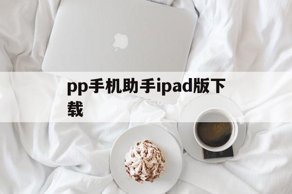pp手机助手ipad版下载(pp手机助手app安卓版官方下载)