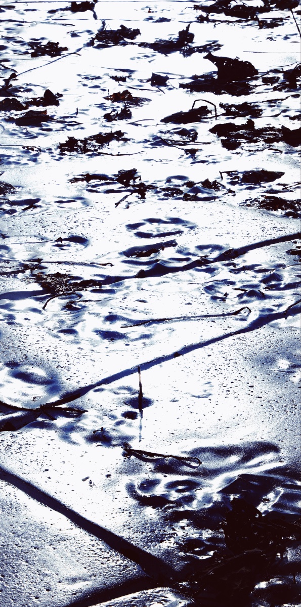 手机版奇米播放器下载(手机版奇米播放器下载官网)