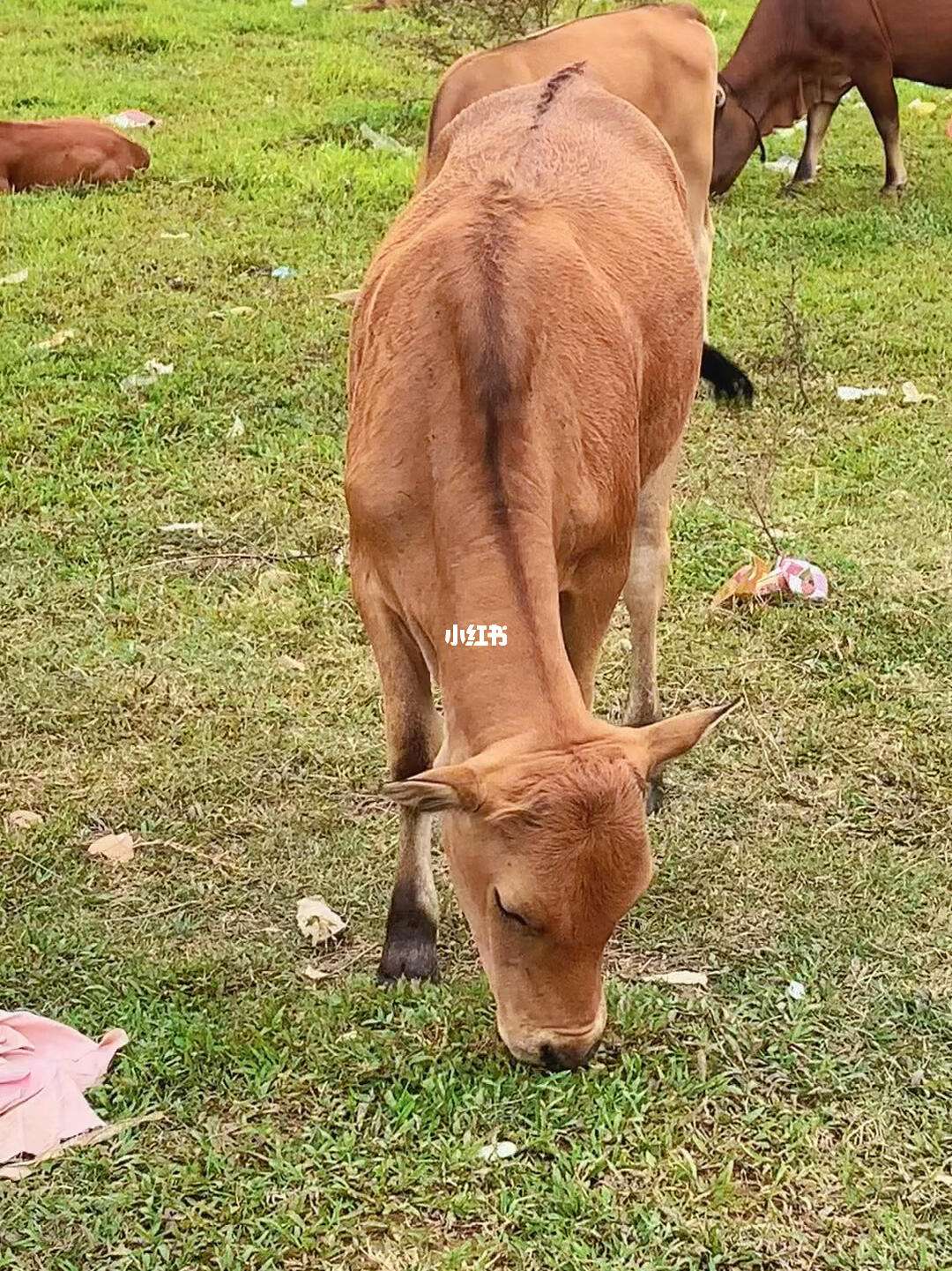 人民牛牛手机版下载(牛牛人民币玩的)-第4张图片-QuickQ官网