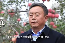 hoopeasy苹果版(hookuphotshot 下载)-第4张图片-QuickQ官网