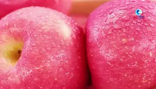 bdt苹果版(bd apple)-第3张图片-QuickQ官网