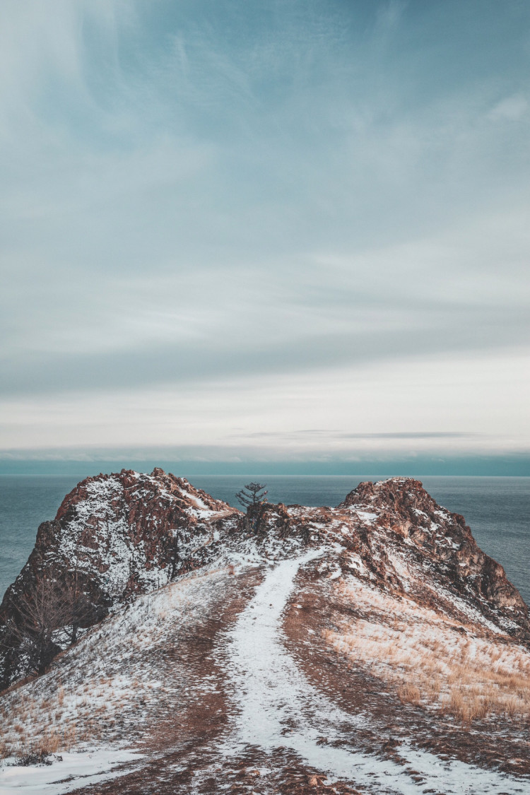 TimQQ手机版(tim手机下载安装)