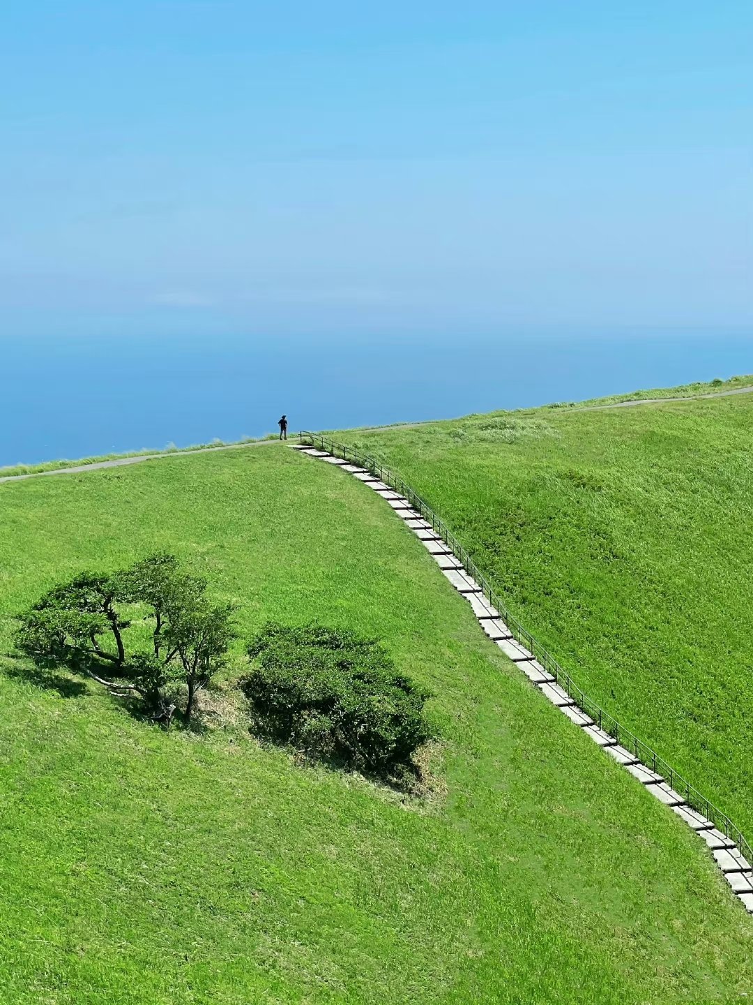 jxfjxf手机版(jxfjxf官网登录app)-第5张图片-QuickQ官网