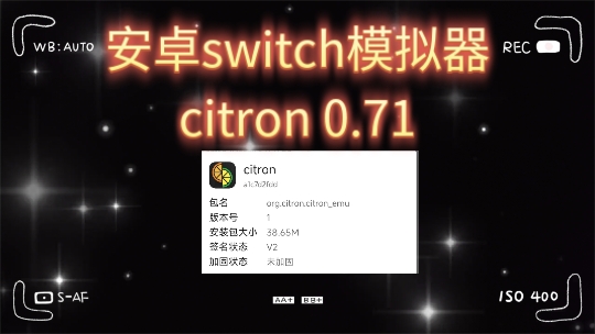 安卓模拟器下载中文版(安卓模拟器下载中文版安装)-第2张图片-QuickQ官网