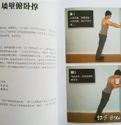 囚徒健身电子书手机版(囚徒健身电子版在线阅读)-第5张图片-QuickQ官网