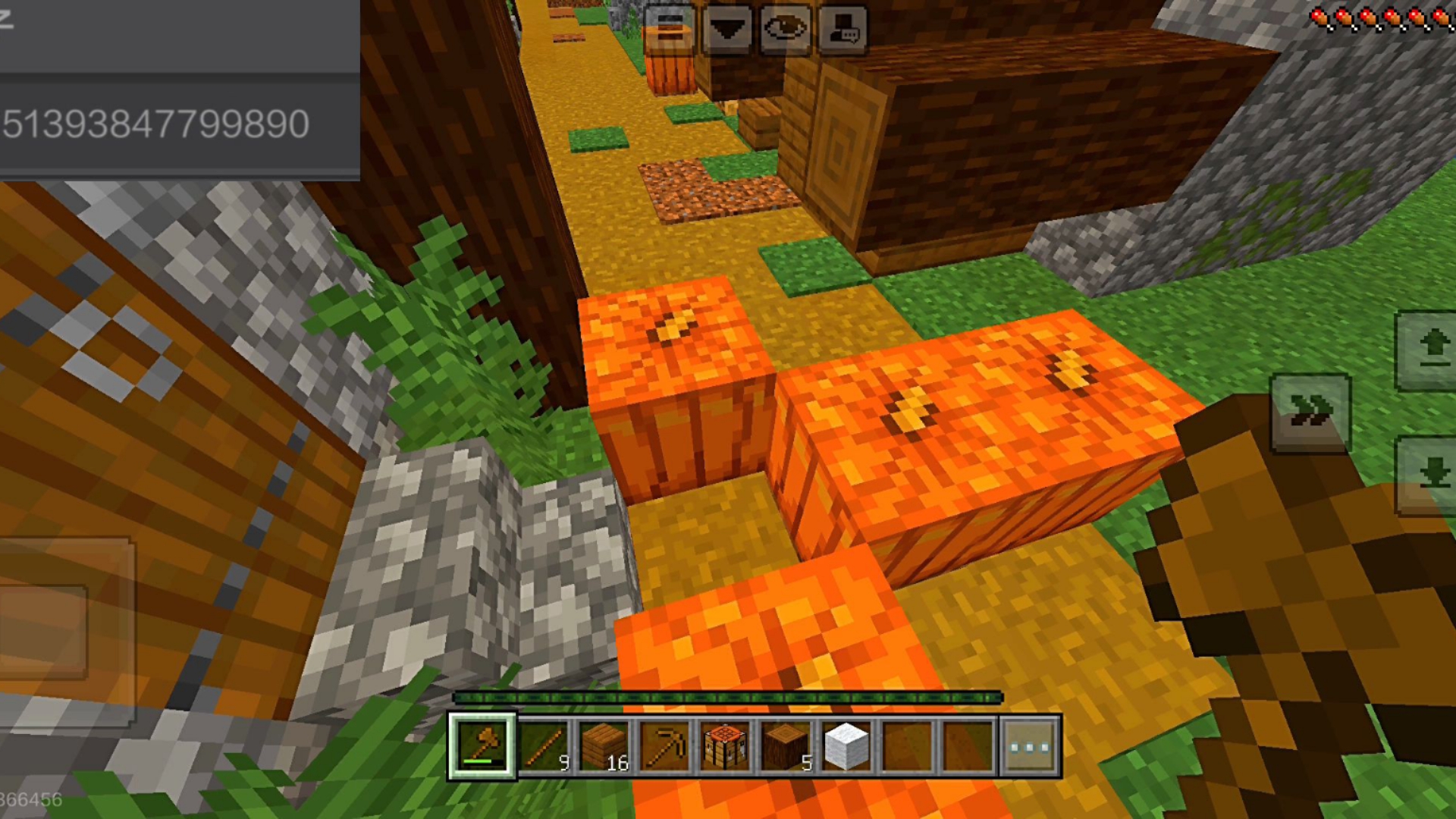 我的世界手机版087(我的世界手机版珍妮模组)-第3张图片-QuickQ官网